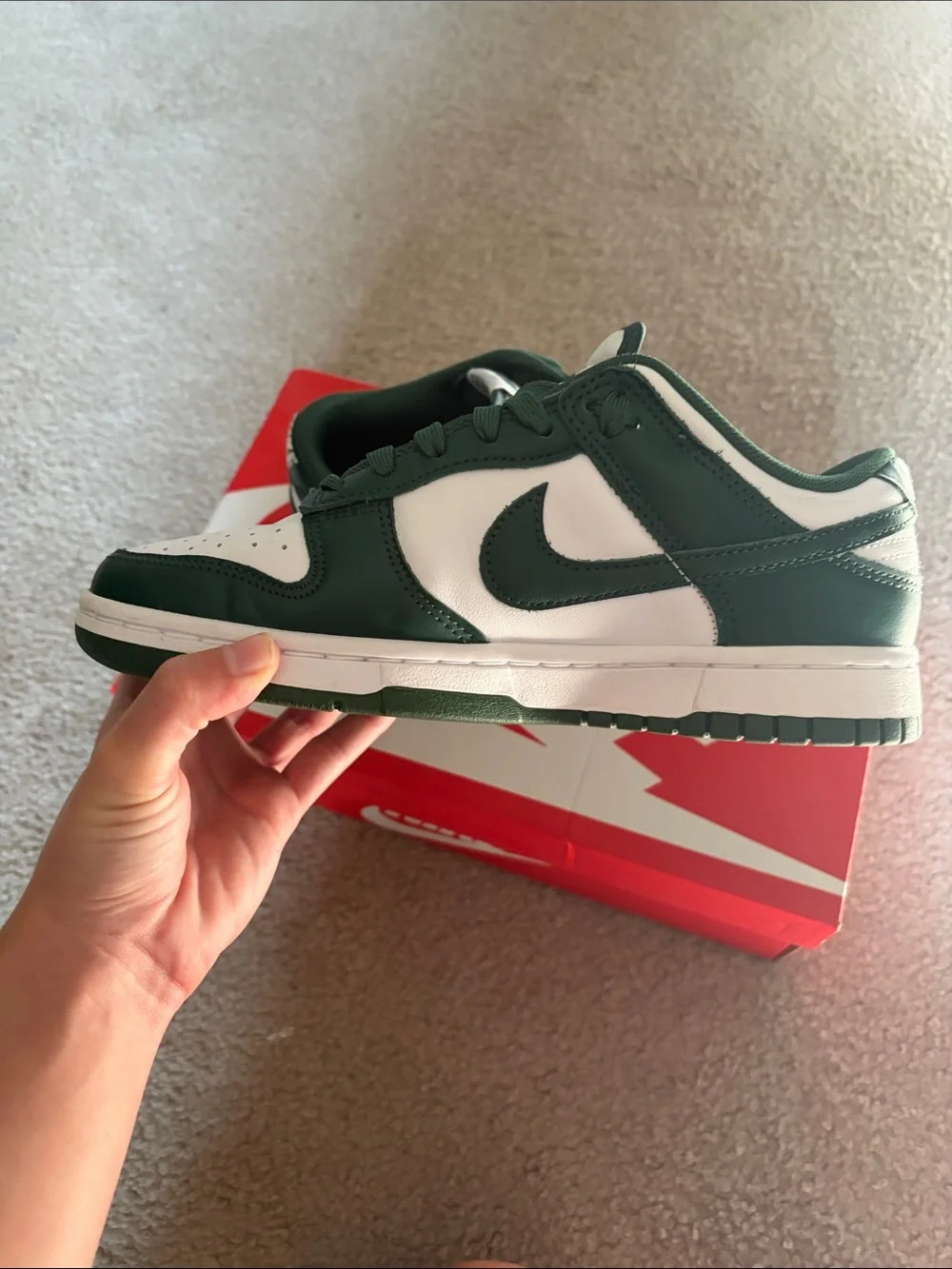 Nike Michigan State Dunks